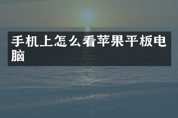 手机上怎么看苹果平板电脑