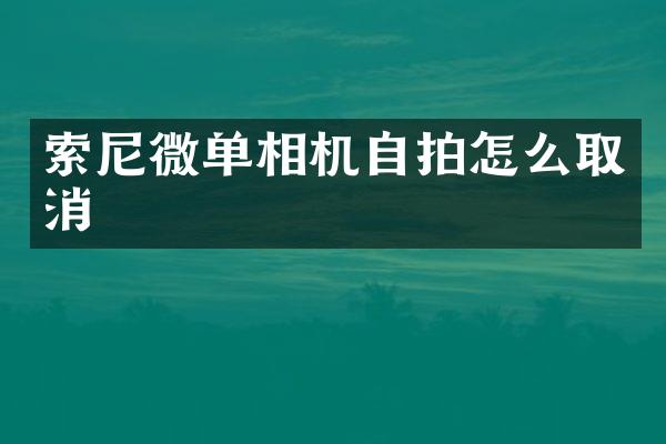 索尼微单相机自拍怎么取消