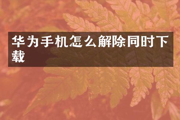 华为手机怎么解除同时下载