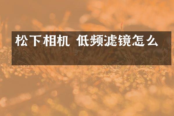 松下相机 低频滤镜怎么关