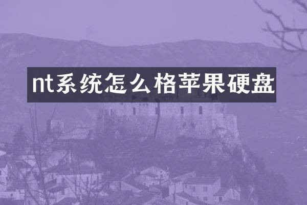 nt系统怎么格苹果硬盘