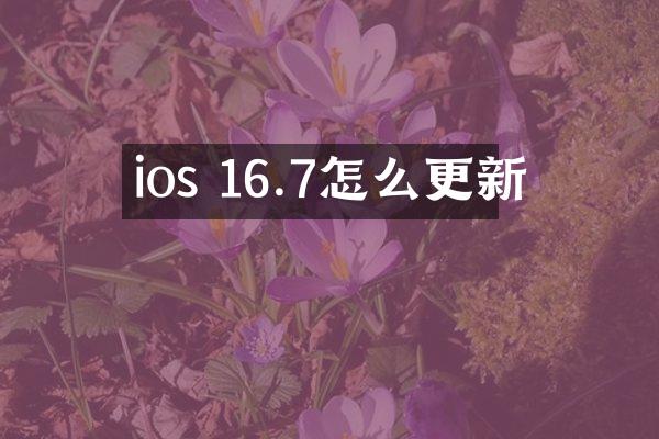 ios 16.7怎么更新