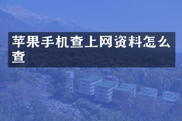 苹果手机查上网资料怎么查