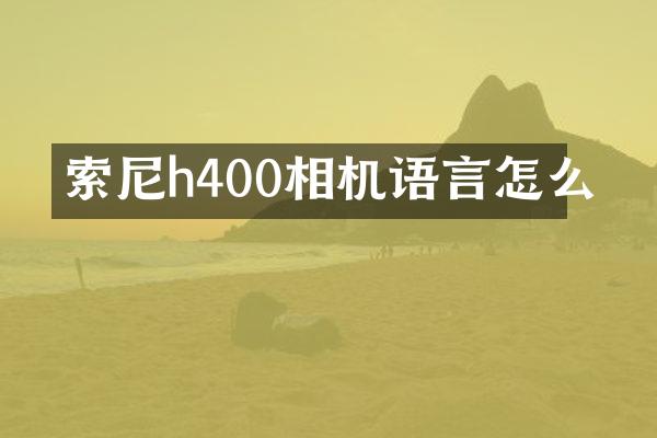 索尼h400相机语言怎么