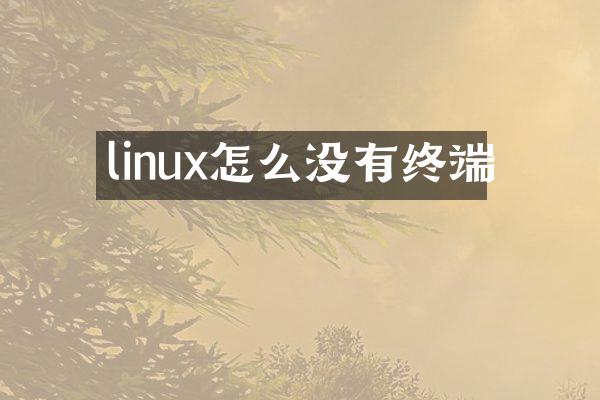 linux怎么没有终端