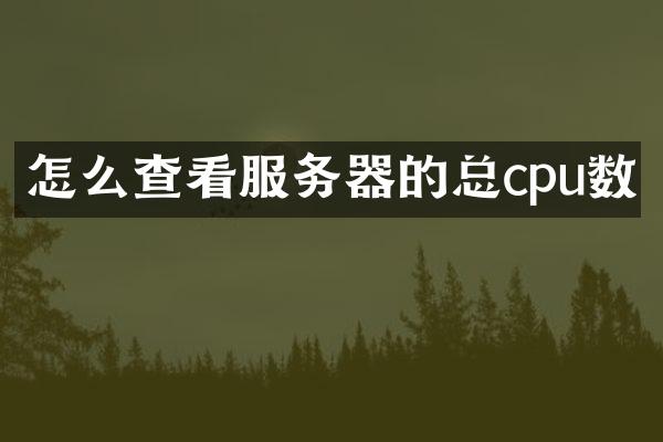 怎么查看服务器的总cpu数