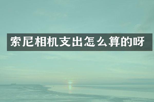 索尼相机支出怎么算的呀