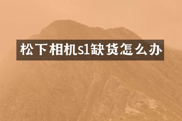 松下相机s1缺货怎么办