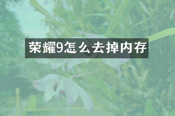 荣耀9怎么去掉内存