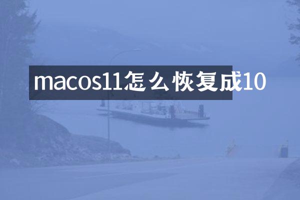 macos11怎么恢复成10