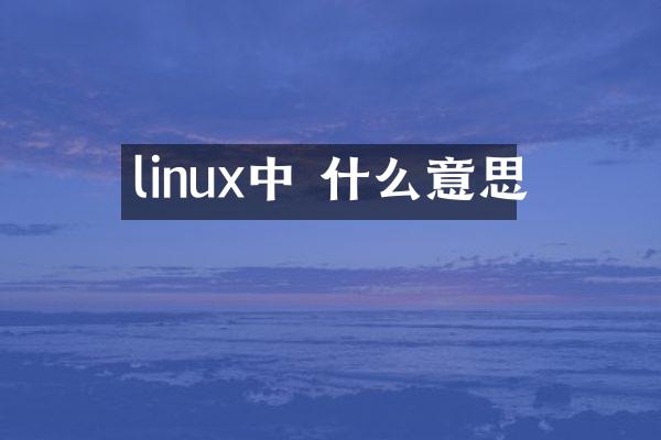 linux中 什么意思