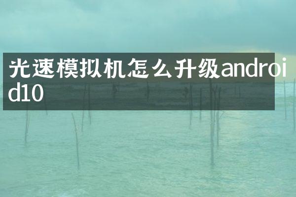 光速模拟机怎么升级android10