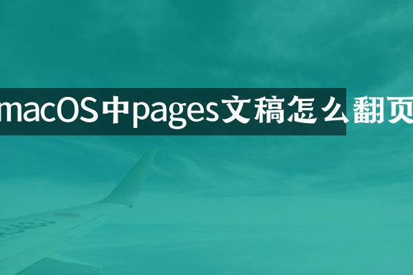 macOS中pages文稿怎么翻页