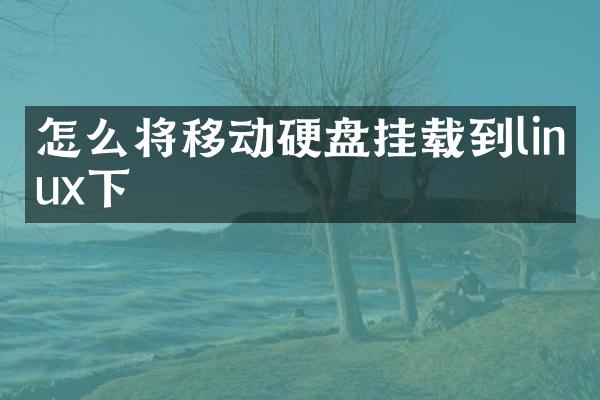 怎么将移动硬盘挂载到linux下