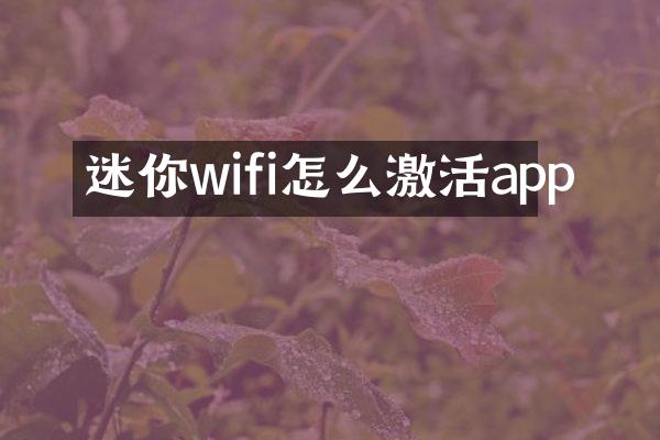 迷你wifi怎么激活app