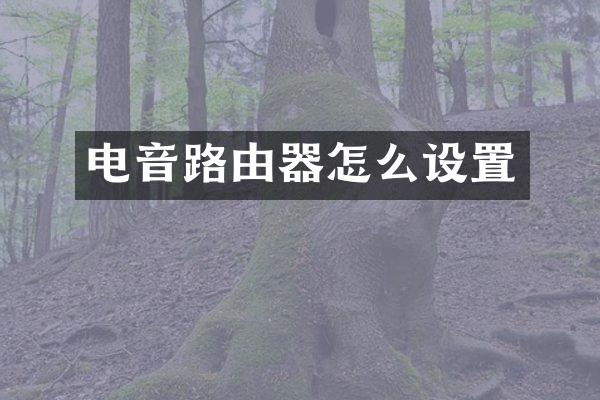电音路由器怎么设置