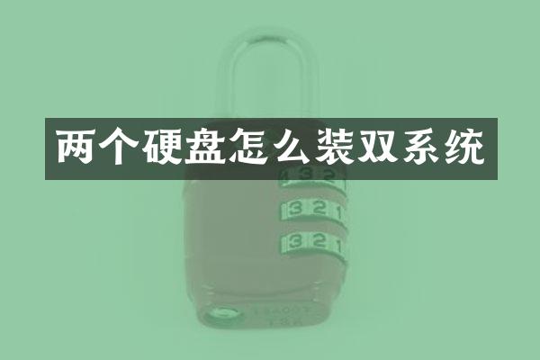两个硬盘怎么装双系统