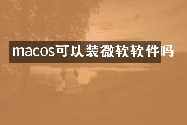 macos可以装微软软件吗