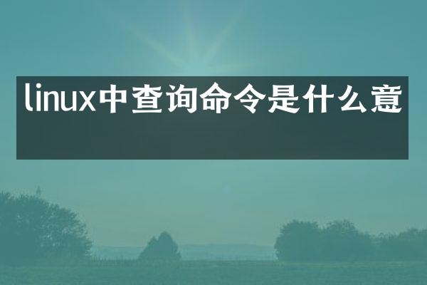 linux中查询命令是什么意思