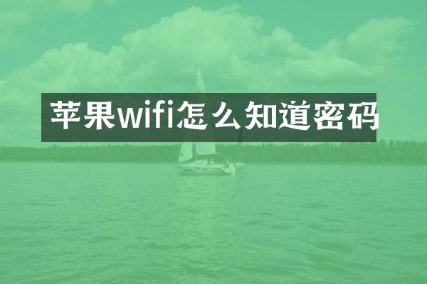 苹果wifi怎么知道密码