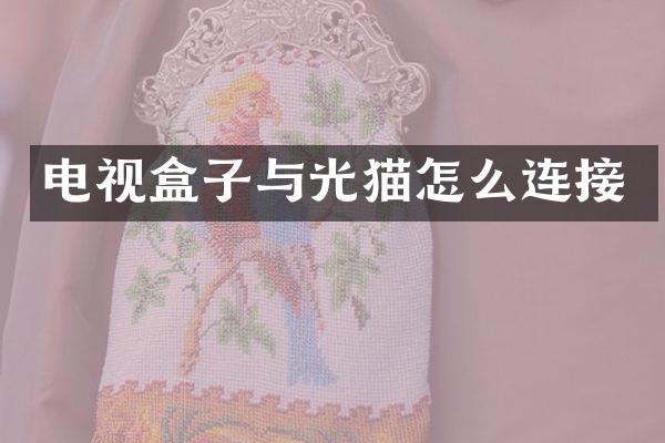 电视盒子与光猫怎么连接