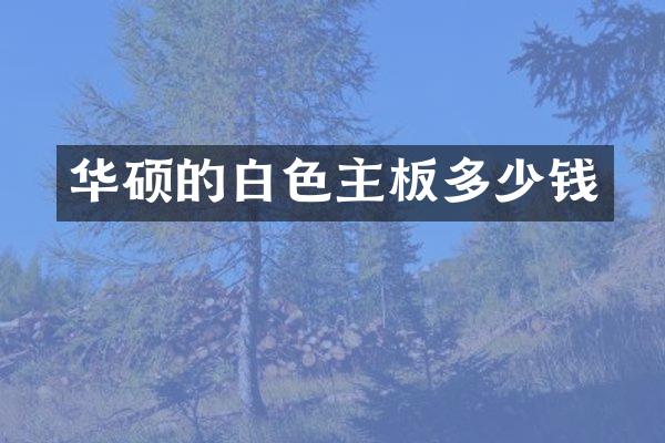 华硕的白色主板多少钱