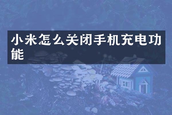 小米怎么关闭手机充电功能