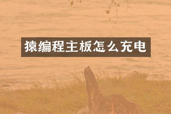 猿编程主板怎么充电