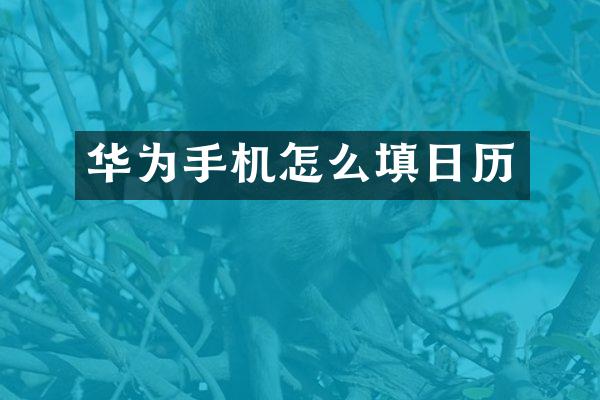 华为手机怎么填日历