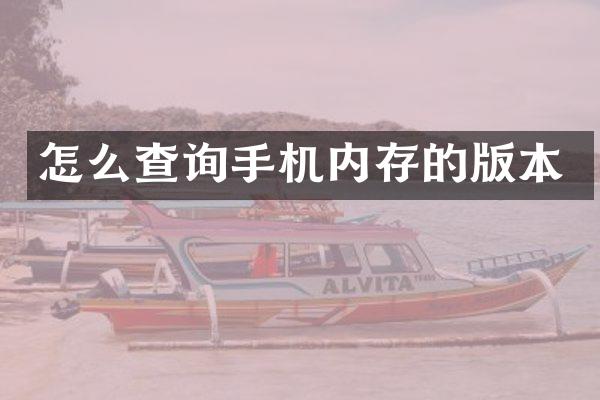怎么查询手机内存的版本