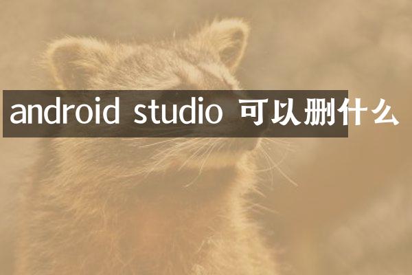 android studio 可以删什么