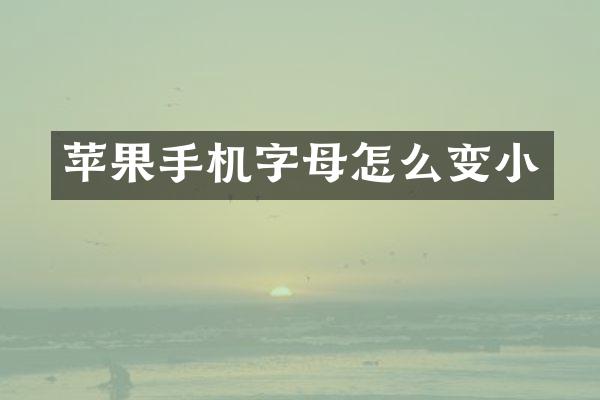 苹果手机字母怎么变小