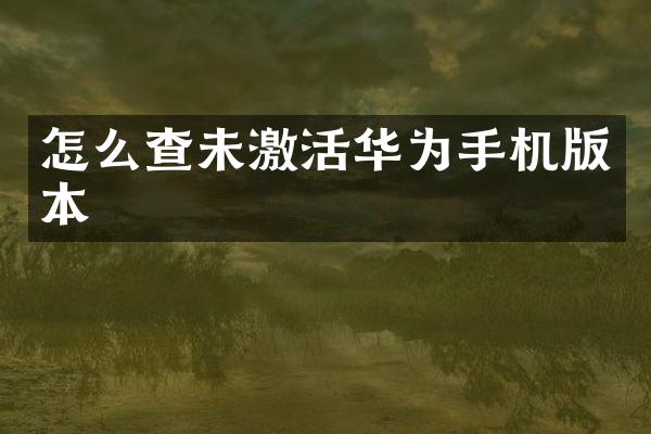 怎么查未激活华为手机版本