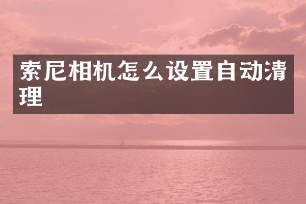 索尼相机怎么设置自动清理