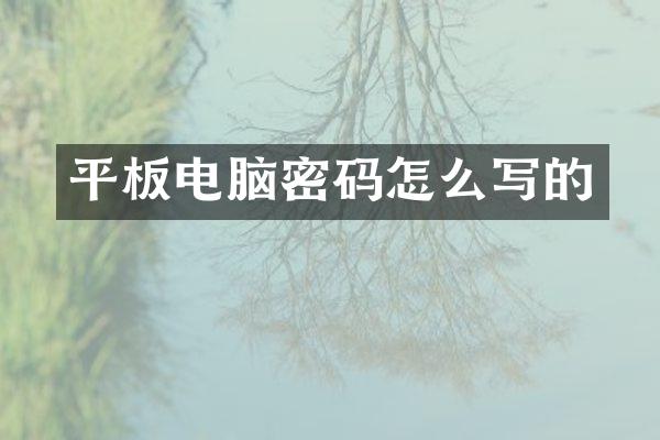 平板电脑密码怎么写的