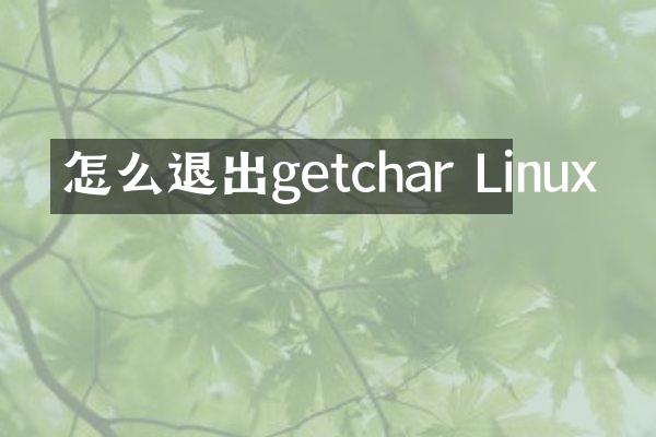 怎么退出getchar Linux