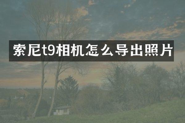 索尼t9相机怎么导出照片