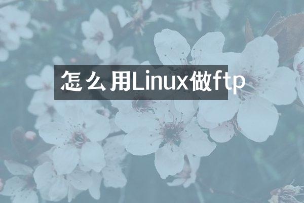 怎么用Linux做ftp