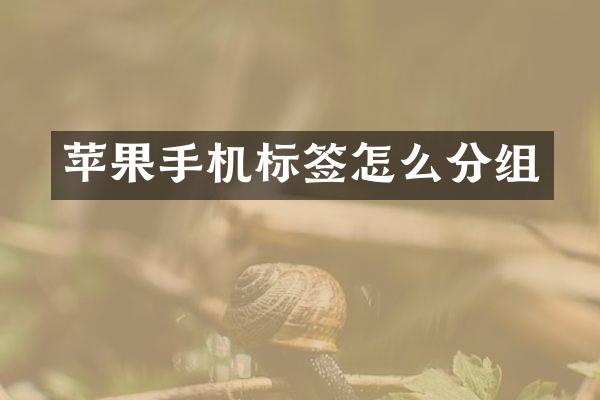 苹果手机标签怎么分组