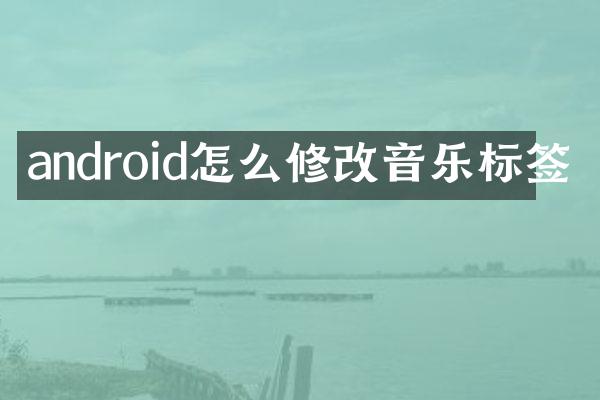android怎么修改音乐标签