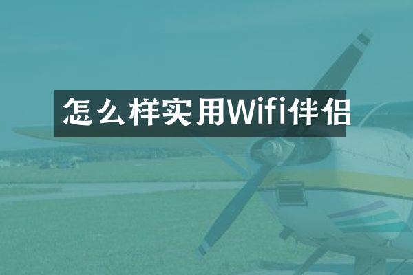 怎么样实用Wifi伴侣