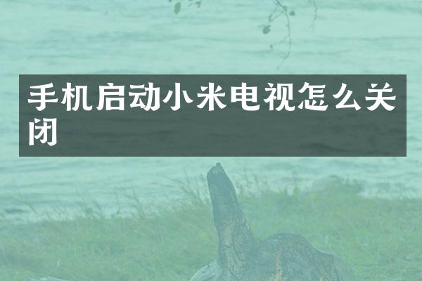 手机启动小米电视怎么关闭