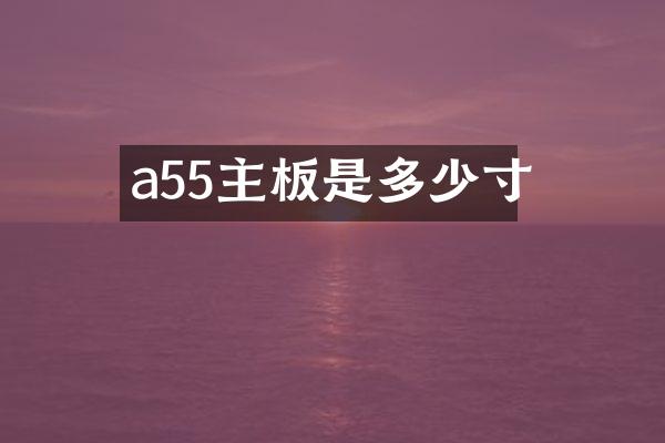 a55主板是多少寸