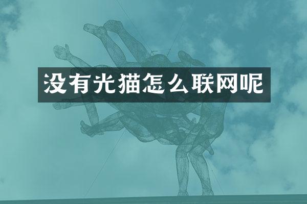 没有光猫怎么联网呢
