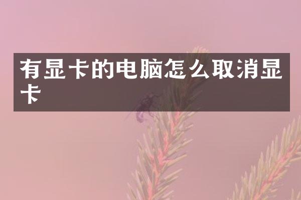 有显卡的电脑怎么取消显卡