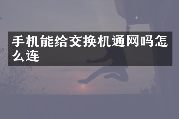 手机能给交换机通网吗怎么连