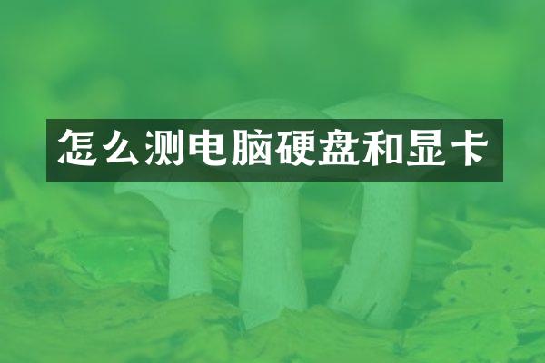 怎么测电脑硬盘和显卡