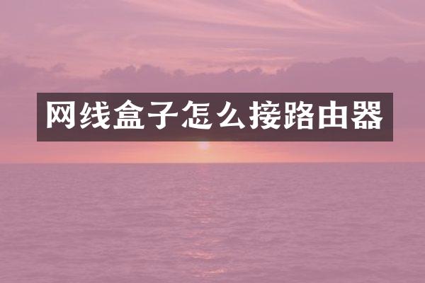 网线盒子怎么接路由器