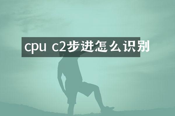 cpu c2步进怎么识别