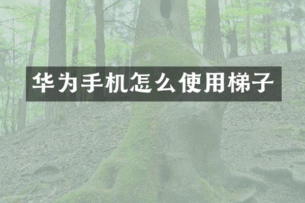 华为手机怎么使用梯子